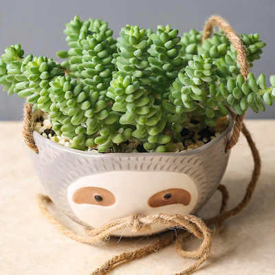 SLOTH POT