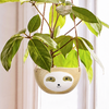 SLOTH POT